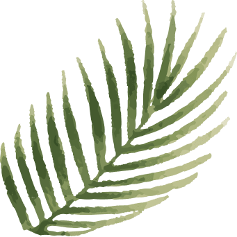 palm1
