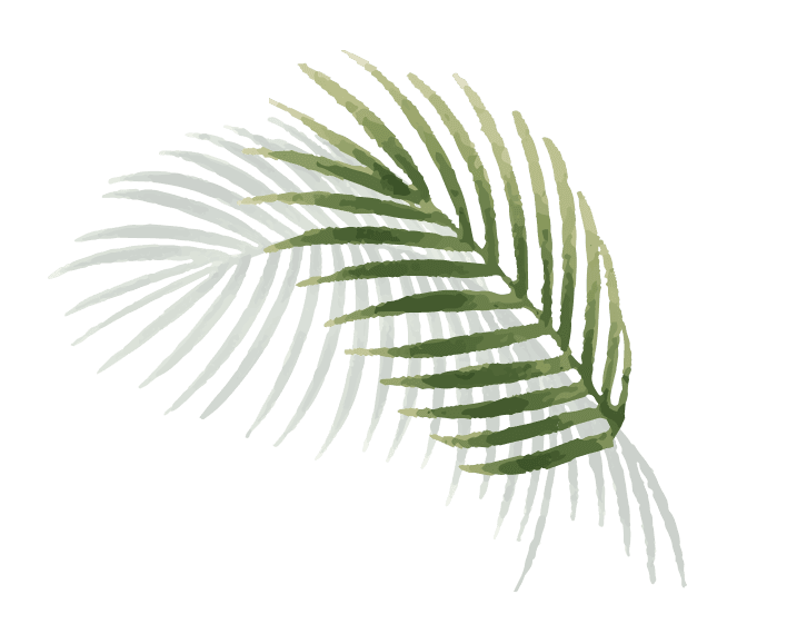 palm2